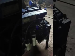 Двигатель WP12G460E310